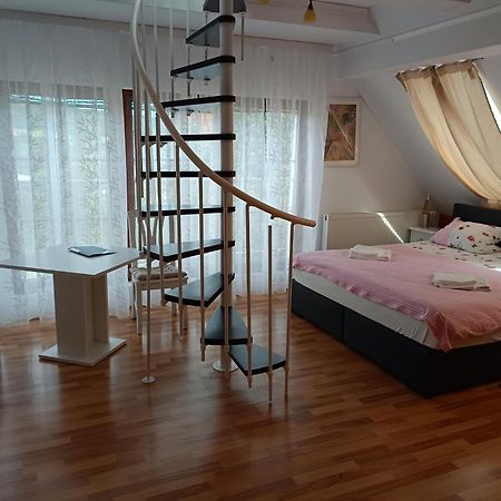 Pension Donaublick Grein 2 In Stifterstrasse19. Apartamento Exterior foto